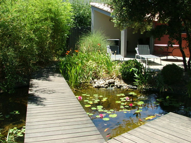 Jardin japonais dans le Sud