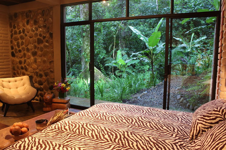 chambre hamdryade zebre