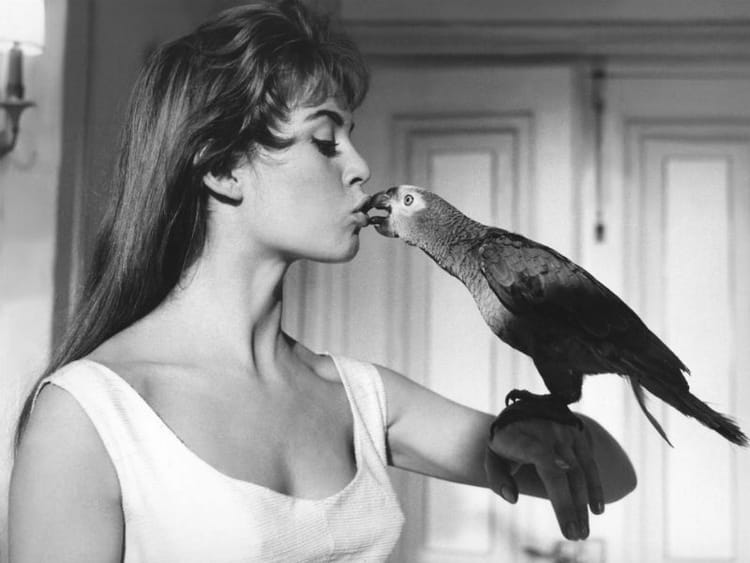 sex dans la bouche