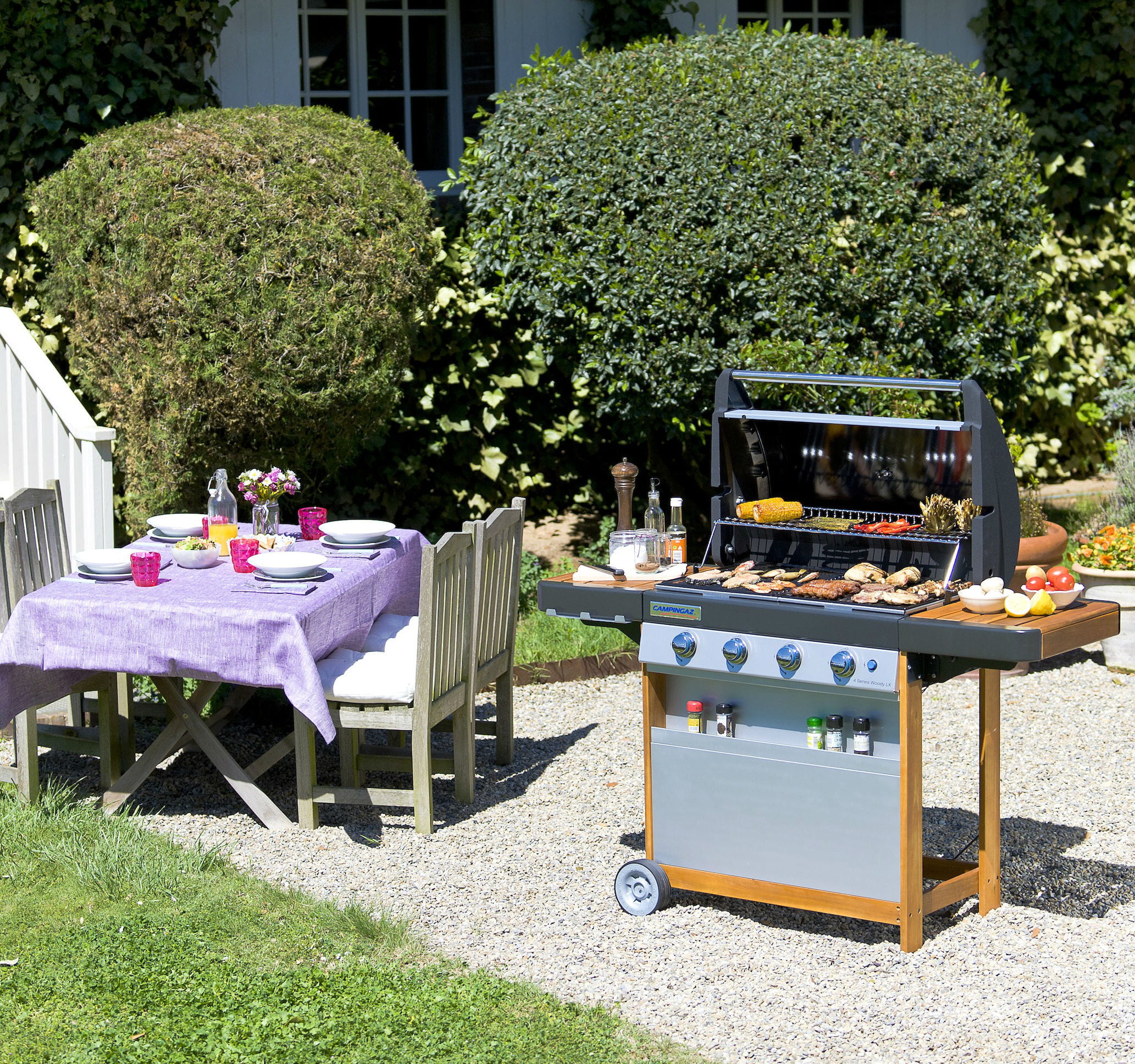 barbecue gaz 3 serie woody l