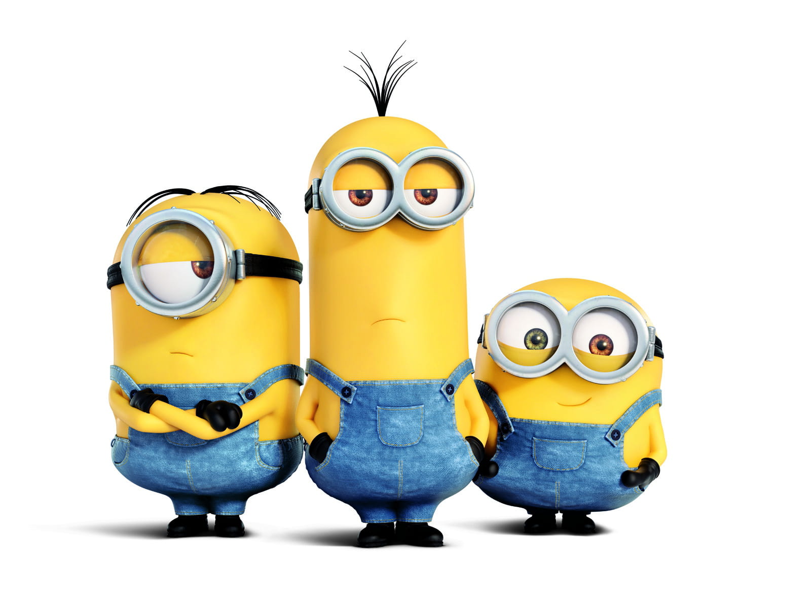 10116529 les minions tronions
