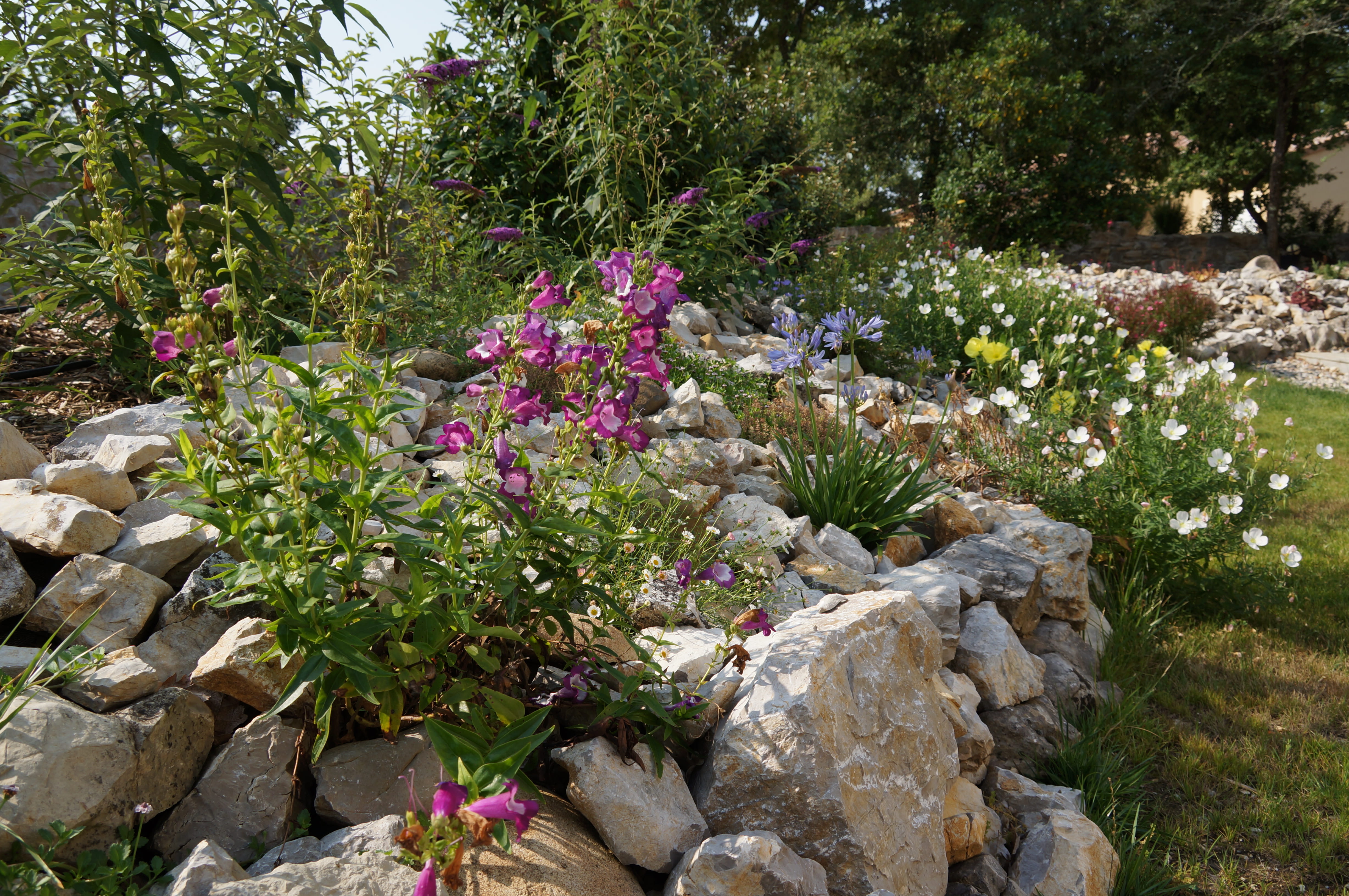 Concours de la plus belle prairie fleuries dans Maison, Jardin, Cuisine,