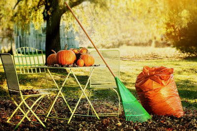 au mois de novembre, il faut bichonner les jardins d'ornement.