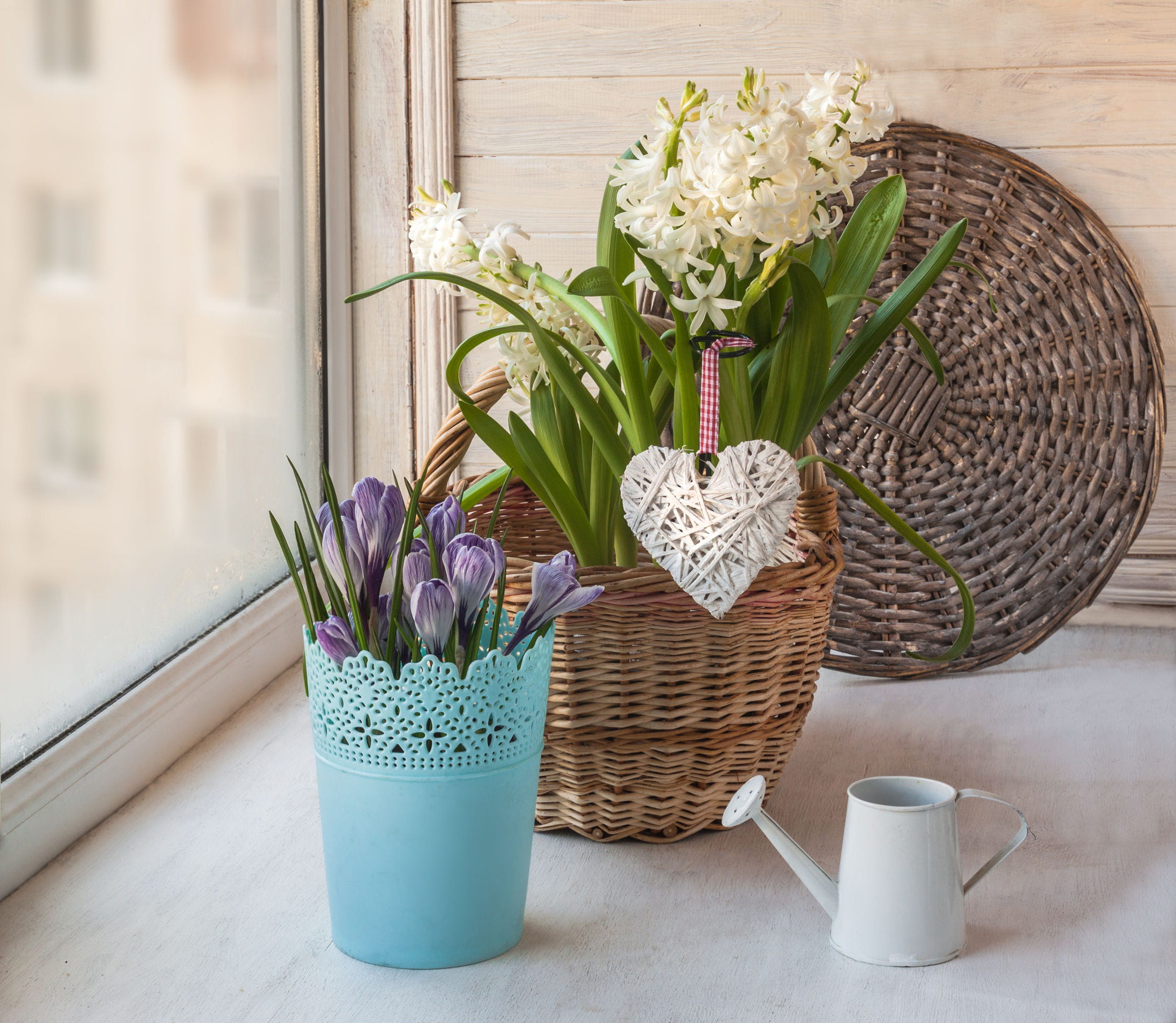 10 idées pour un joli jardin en hiver