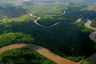 amazone