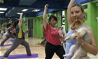 doga