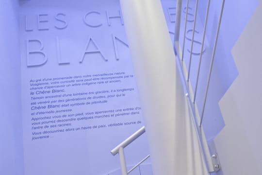 Visite du Spa Les Chênes Blancs Gérardmer