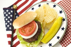 hamburger 250