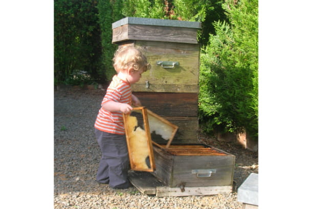 L'ami des abeilles