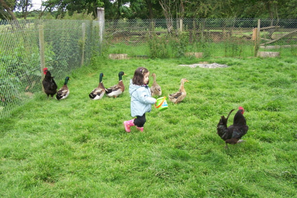 Valentina à la chasse aux coqs