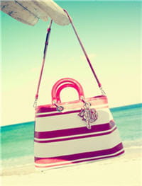 sac dior exclusif