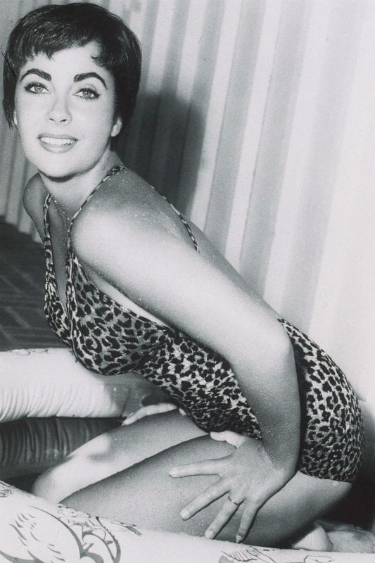 Liz Taylor, féline