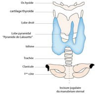 symptomes cancer thyroide