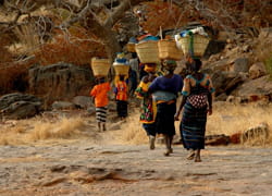 mali