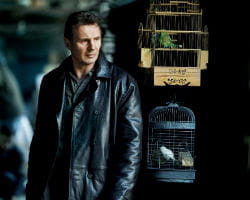liam neeson int