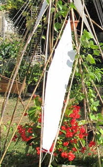 jardin chez vieux bill