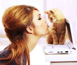 chatons chiots