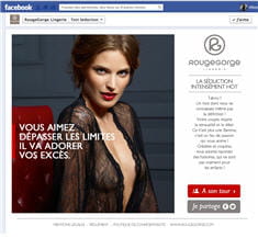 rouge gorge 2
