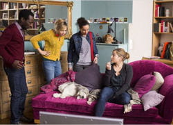 amis josephine 250