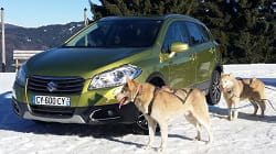 suzuki 2