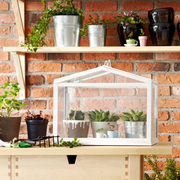 Salon De Jardin Resine Tressee Encastrable Gris : salon ou sur le balcon Plante dintérieur je crée un mini jardin Salon De Jardin Resine Tressee Encastrable Gris : salon ou sur le balcon Plante dintérieur je crée un mini jardin