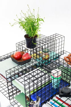 zoom the grid system