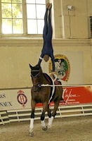 Fiche pedagogique equitation voltige
