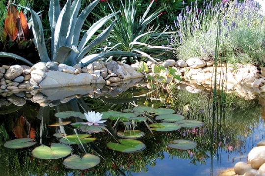 Bassin méditerranéen