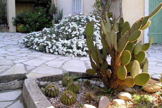 Le parterre végétal