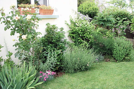 Un jardin de verdure