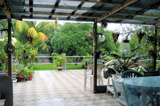 La terrasse tropicale La terrasse tropicale