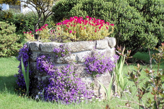 Puits fleuri