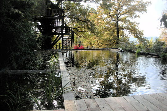 Cabane