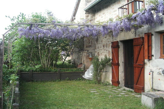 Glycine