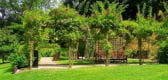 pergola