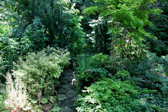 Chemin