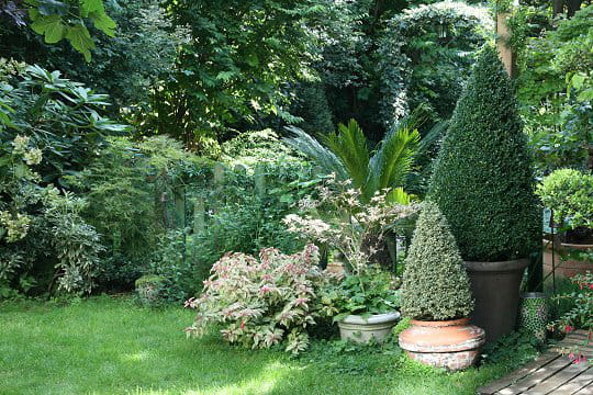 Plantes