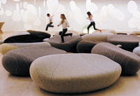 les coussins livingstones