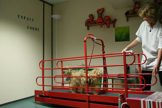 Espace forme