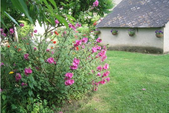 Soue fleurie