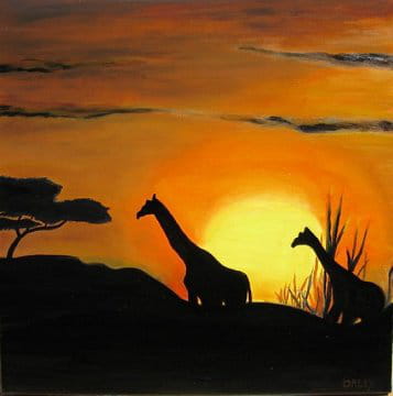 Ombres de girafes