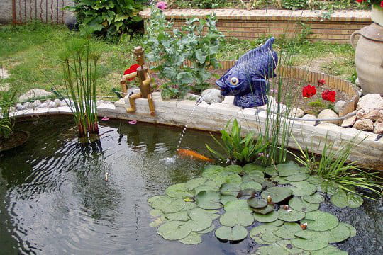 Le poisson et le pêcheur