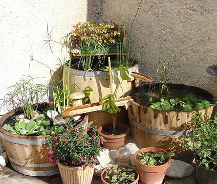 Le bassin-fontaine