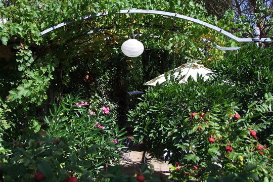 Une pergola verdoyante