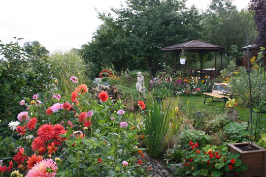 Une pergola qui se fond dans le décor