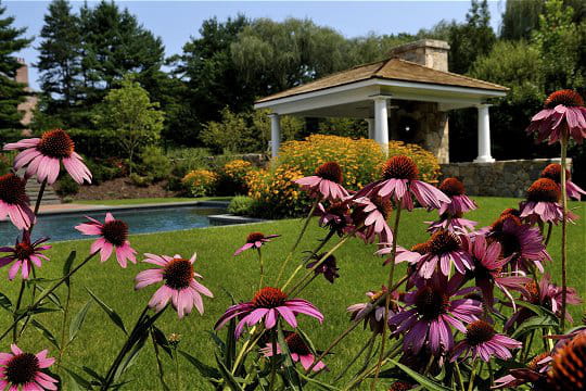 Une pergola très classieuse