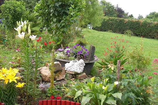 Au milieu des lys