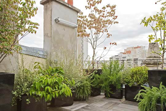 Terrasse aménagée
