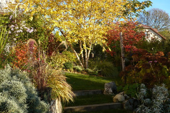 Jardin d'automne