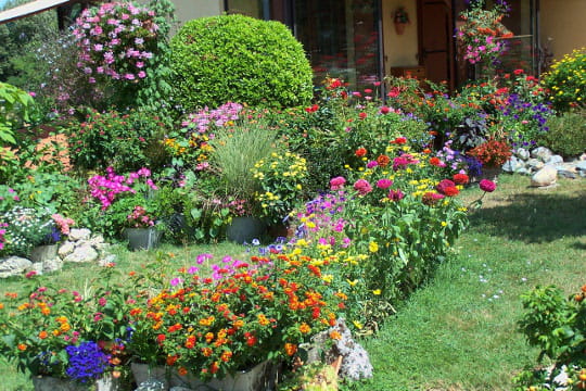 Jardin de Jean-Pierre